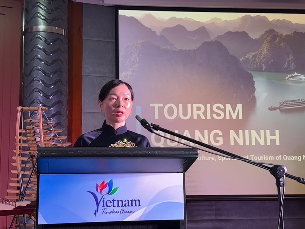 Quảng bá, xúc tiến du lịch Việt Nam tại Australia - Ảnh 3.