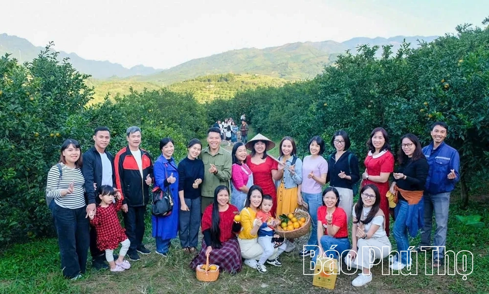 ยืนยันความเชื่อมั่นในการผลิตส้มออร์แกนิกที่ปลอดภัย