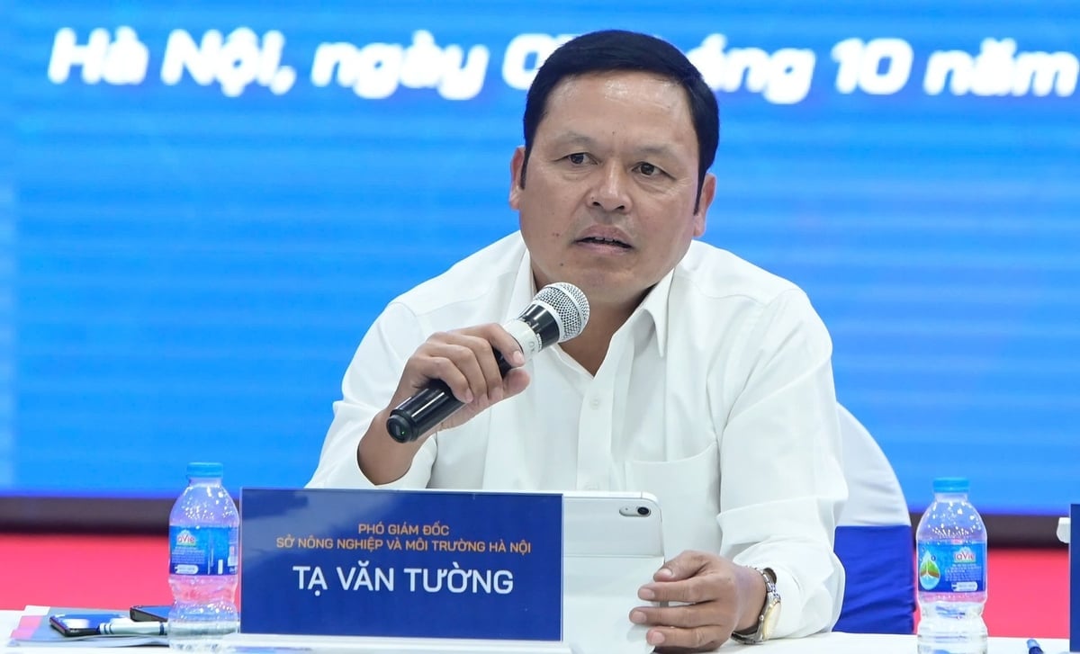 হ্যানয় কৃষি ও পরিবেশ বিভাগের উপ-পরিচালক মিঃ তা ভ্যান তুওং। ছবি: ট্রুং হিউ।