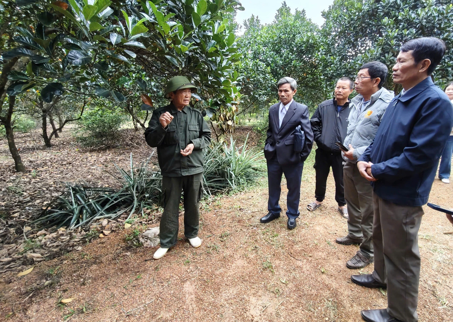 Studenter besökte och diskuterade klimatanpassad fruktträdsskötsel i Mr. Nguyen Van Diems trädgård i Nam Trach kommun. Foto: T.HOA