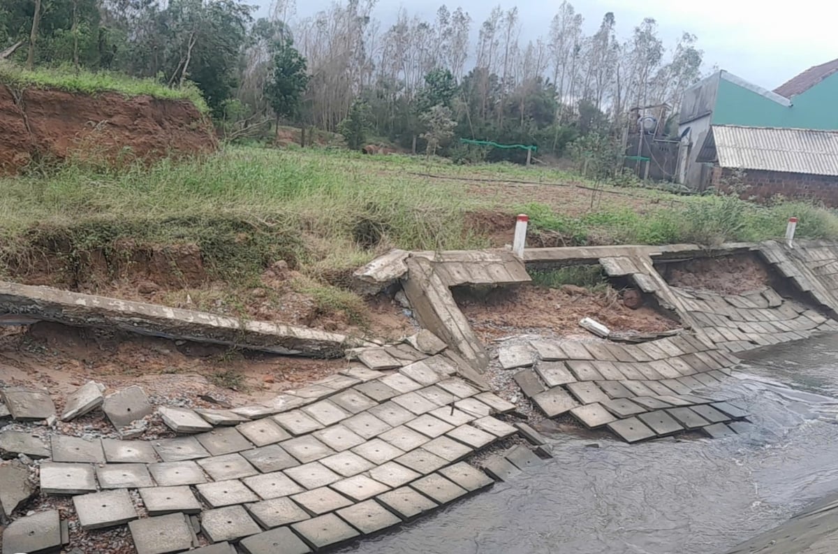 Tuyến kênh của đập dâng Văn phong đi qua địa bàn xã Phù Cát bị hư hỏng sau lũ. Ảnh:V.Đ.T.