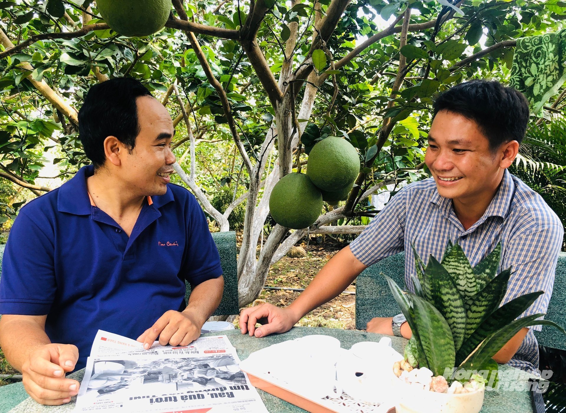 Công tác tuyên truyền, tập huấn kỹ thuật cho nông dân cũng được địa phương đặc biệt chú trọng. Người dân được hướng dẫn lựa chọn giống năng suất cao, rõ nguồn gốc, đảm bảo tiêu chuẩn sạch và an toàn. Ảnh: Minh Sáng.