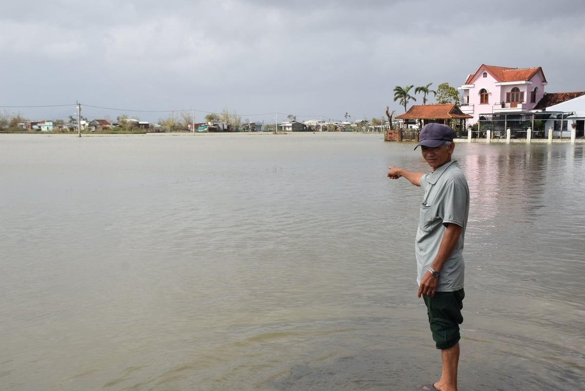 Cánh đồng thôn Tư Cung (xã Tuy Phước Đông) vẫn còn ngập trắng, khó lòng sản xuất vụ đông xuân 2025 - 2026 đúng lịch thời vụ. Ảnh: V.Đ.T.