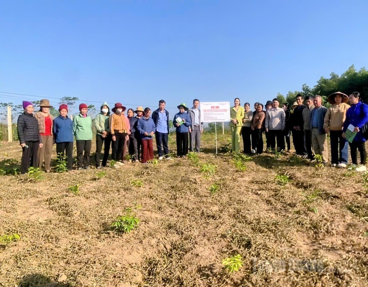 প্রতিনিধিরা নু খে কমিউনে ক্যাট স্যাম রোপণ মডেল পরিদর্শন করেছেন।