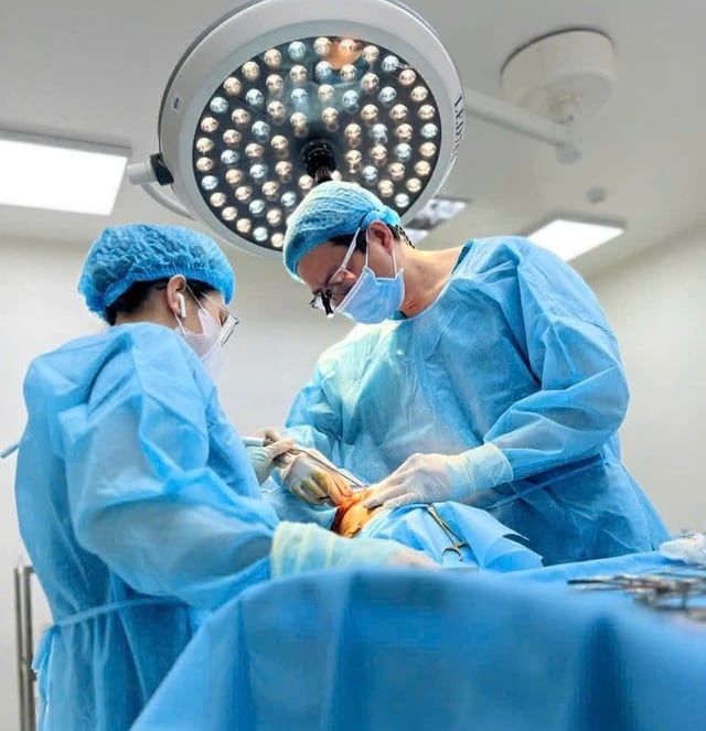 Chuẩn hóa đào tạo y khoa để bảo đảm chất lượng nguồn nhân lực- Ảnh 1.