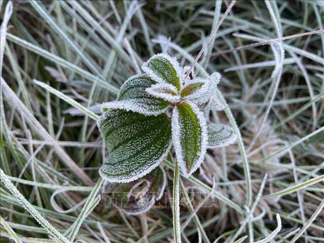 ចំណងជើងរូបថត