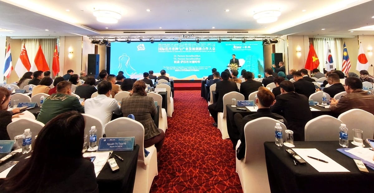 Hội nghị quốc tế về hợp tác đổi mới trong nhân giống và phát triển ngành hoa cây cảnh. Ảnh: Trung Hiếu.