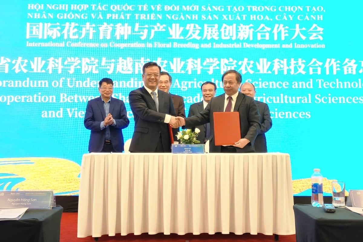 Viện Khoa học Nông nghiệp Sơn Đông và Viện Khoa học Nông nghiệp Việt Nam kí kết Biên bản ghi nhớ hợp tác khoa học công nghệ nông nghiệp. Ảnh: Trung Hiếu.