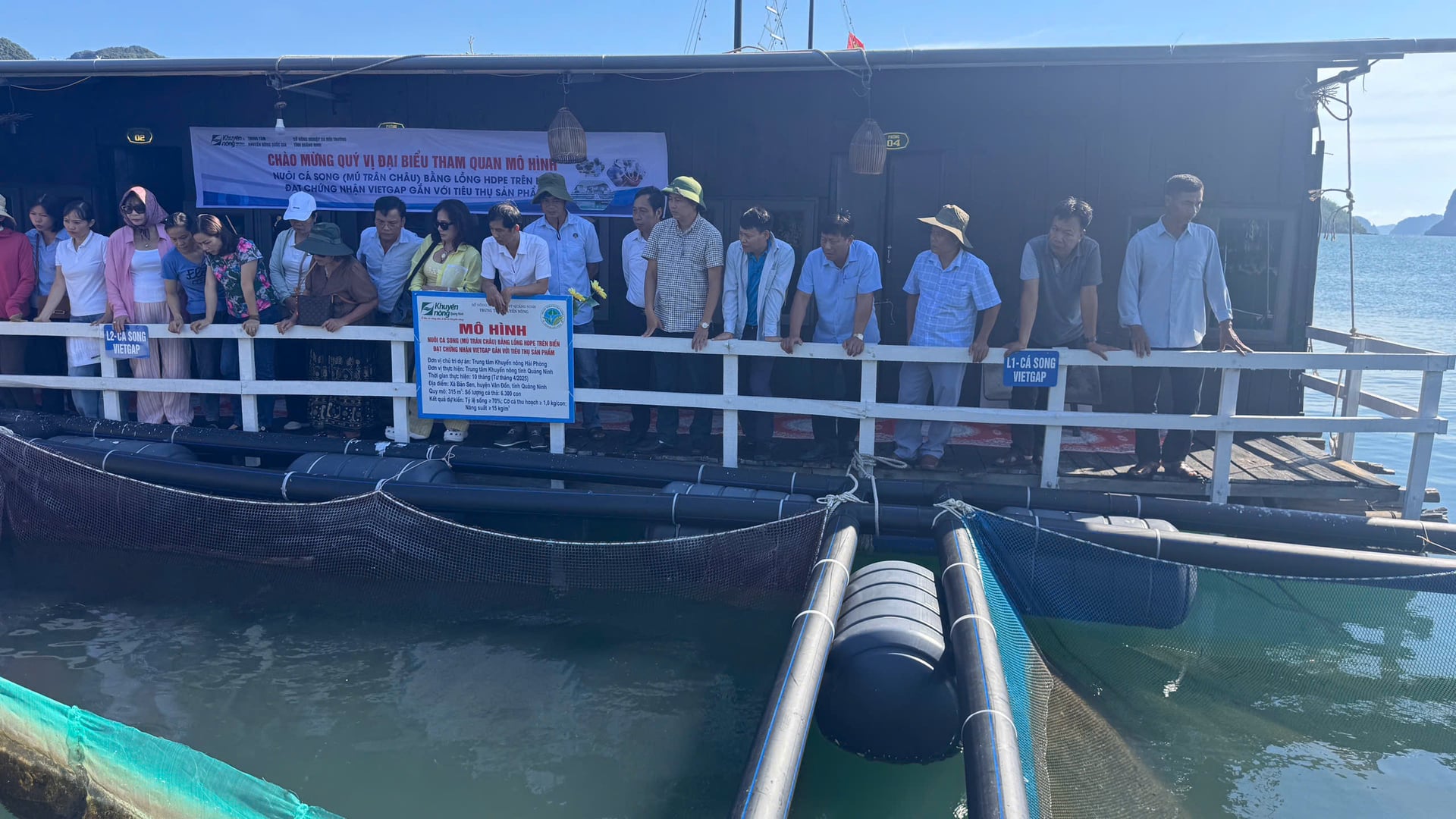 ក្នុងក្របខ័ណ្ឌនៃសន្និសីទ គណៈប្រតិភូបានទៅទស្សនាដោយផ្ទាល់លើវិស័យគំរូកសិកម្មជាក្រុម (Pearl grouper) ដោយប្រើប្រាស់ទ្រុង HDPE នៅតំបន់ Ban Sen (Van Don, Quang Ninh)។ រូបថត៖ Huong Giang។ Trong khuôn khổ Hội nghị, các đại biểu đã trực tiếp tham quan thực địa mô hình nuôi cá song (mú trân châu) bằng lồng HDPE tại khu Bản Sen (Vân Đồn, Quảng Ninh). Ảnh: Hương Giang.