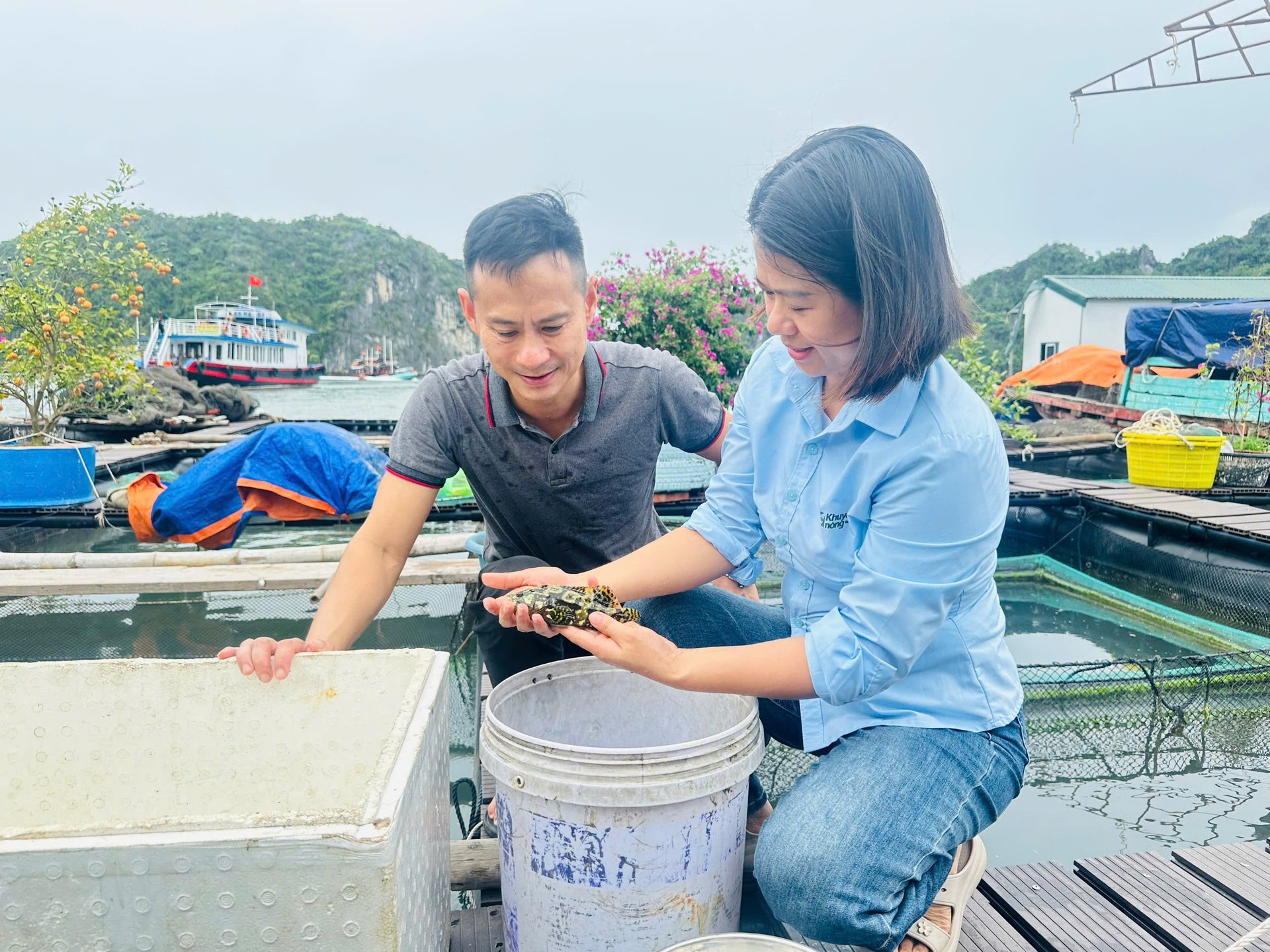 គំរូនៃការចិញ្ចឹមសត្វចង្រៃ (គុជខ្យង) ក្នុងទ្រុង HDPE នៅសមុទ្រ ដែលត្រូវបានបញ្ជាក់ដោយ VietGAP មានសក្តានុពលក្នុងការពង្រីកជាទ្រង់ទ្រាយធំនាពេលខាងមុខនៅ Hai Phong, Quang Ninh និងខេត្តឆ្នេរសមុទ្រផ្សេងទៀត។ រូបថត៖ Huong Giang។ Mô hình nuôi cá song (mú trân châu) bằng lồng HDPE trên biển đạt chứng nhận VietGAP có khả năng mở rộng quy mô lớn trong thời gian tới tại Hải Phòng, Quảng Ninh và các tỉnh ven biển khác. Ảnh: Hương Giang.