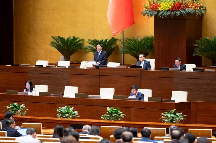 cứu hộ - Ảnh 3.