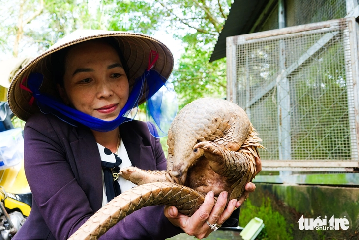 Động vật hoang dã - Ảnh 1.