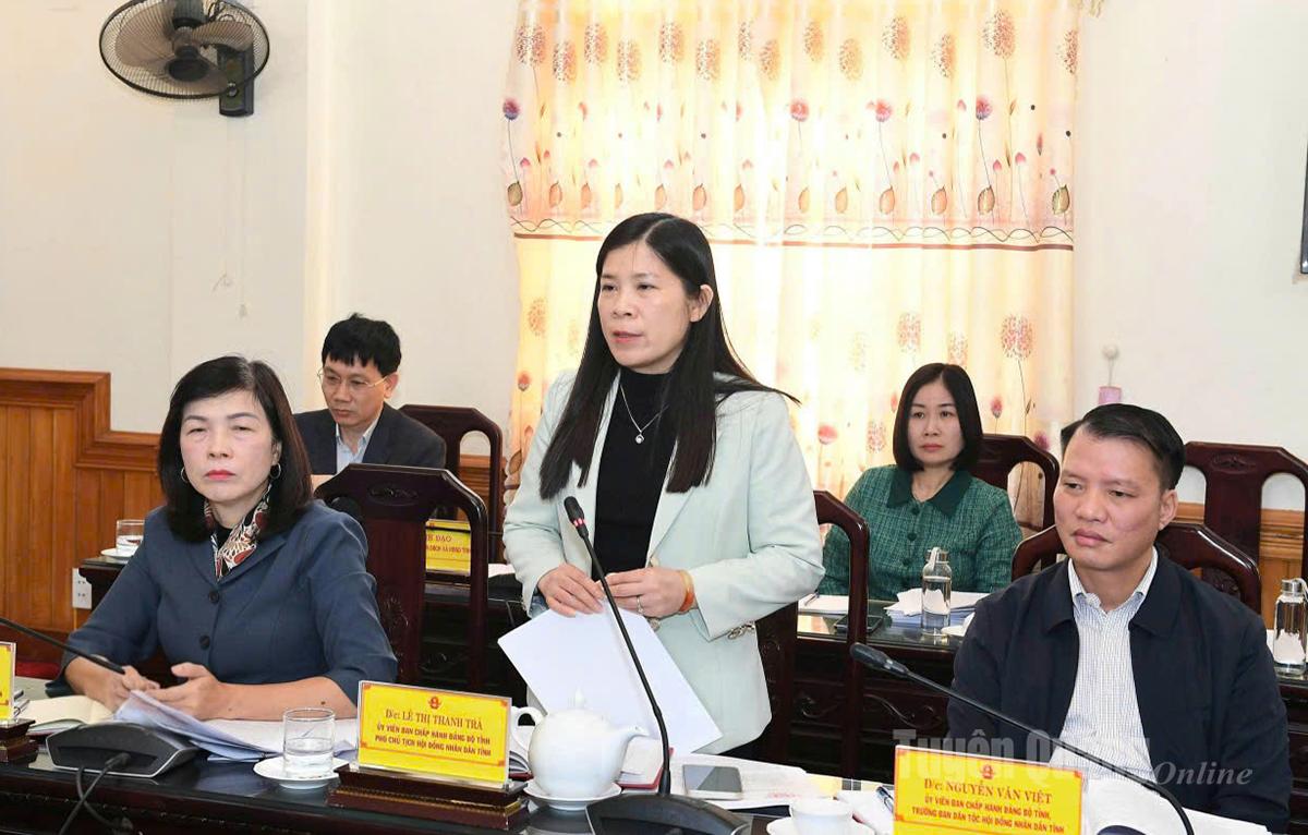 អនុប្រធានក្រុមប្រឹក្សាប្រជាជនខេត្ត Le Thi Thanh Tra ថ្លែងមតិក្នុងកិច្ចប្រជុំ។