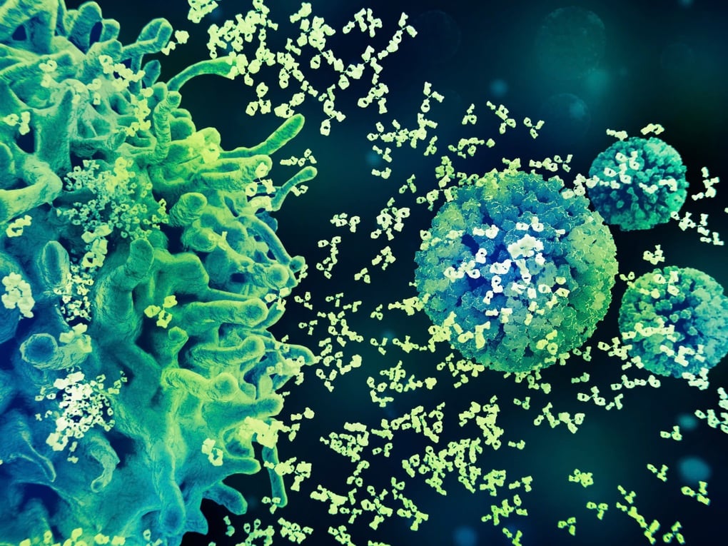 Proactively prevent HPV from today - 2