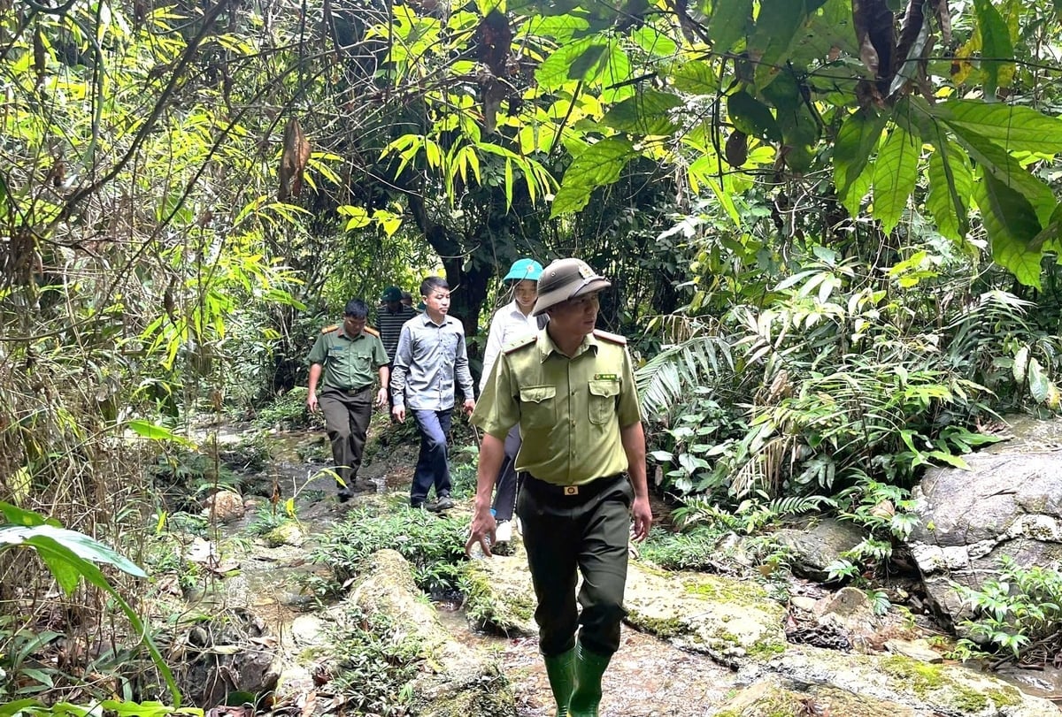Oddělení ochrany lesů regionu IV, Oddělení ochrany lesů provincie Tuyen Quang, v současné době spravuje a chrání více než 60 400 hektarů lesa. Foto: V. Vinh. Hạt Kiểm lâm khu vực IV, Chi cục Kiểm lâm tỉnh Tuyên Quang hiện đang quản lý, bảo vệ hơn 60.400ha rừng. Ảnh: V. Vinh.