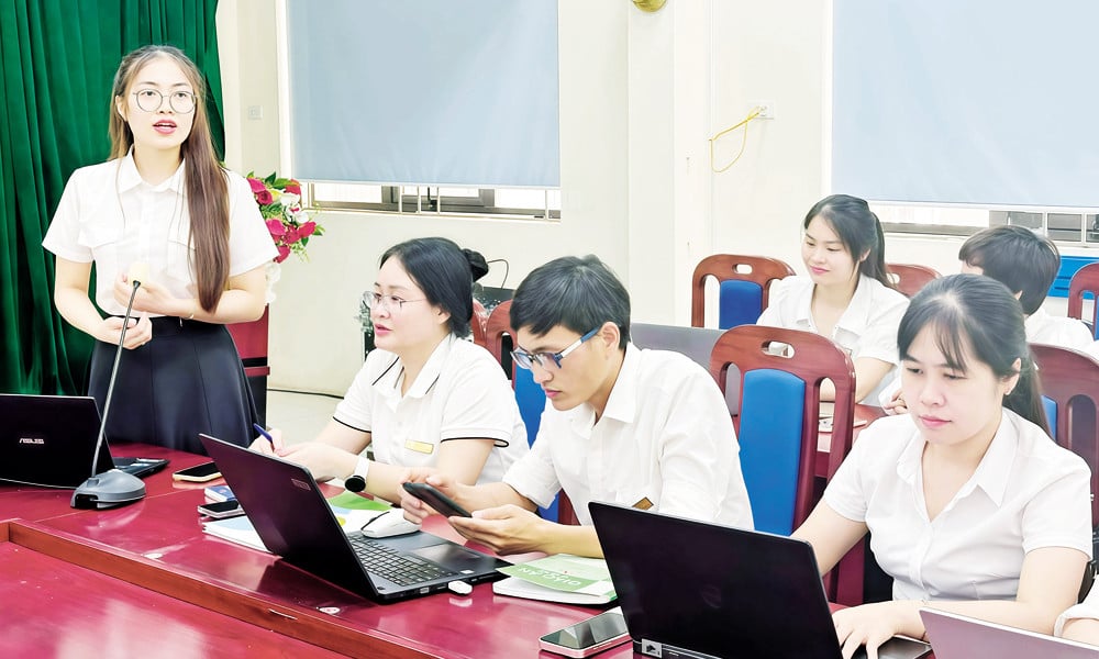 উন্নত স্তরের শিক্ষক 1756595619.jpg