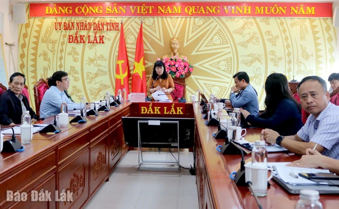 นางโฮ ทิ เหงียน เถา รองประธานคณะกรรมการประชาชนจังหวัดถาวร กล่าวในการประชุม