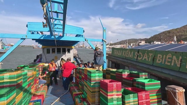 Quyết liệt kiểm soát IUU, tăng tốc hành trình gỡ “thẻ vàng” - Ảnh 2.