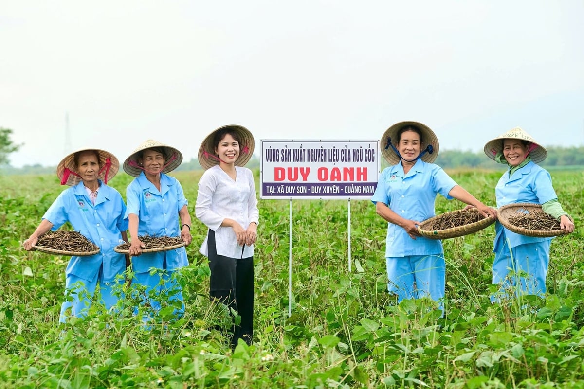 Hợp tác xã Nông nghiệp xanh Duy Oanh xây dựng vùng nguyên liệu sạch để sản xuất các sản phẩm OCOP. Ảnh: Lan Anh.