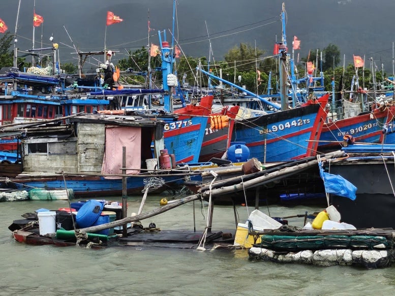 Các địa phương miền Trung chủ động ứng phó bão số 15- Ảnh 1.