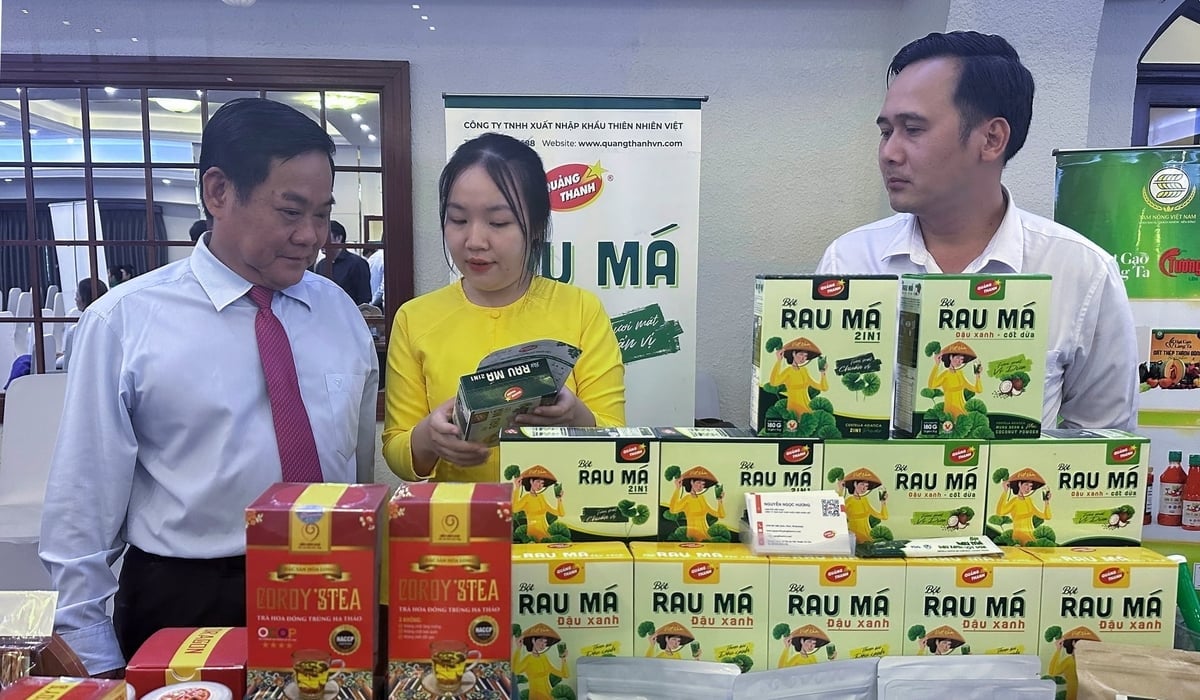 Enterprises introduce OCOP products to leaders of the Department of Agriculture and Environment of Ho Chi Minh City at the Workshop. Photo: Tuong Tu. Doanh nghiệp giới thiệu sản phẩm OCOP với lãnh đạo Sở Nông nghiệp và Môi trường TP.HCM tại Hội thảo. Ảnh: Tường Tú.