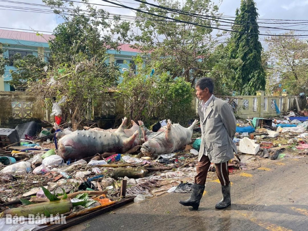 នៅក្នុងទឹកជំនន់នាពេលថ្មីៗនេះ សត្វពាហនៈ និងបសុបក្សីរបស់ប្រជាជនភាគច្រើនបានស្លាប់នៅក្នុងទឹកជំនន់។
