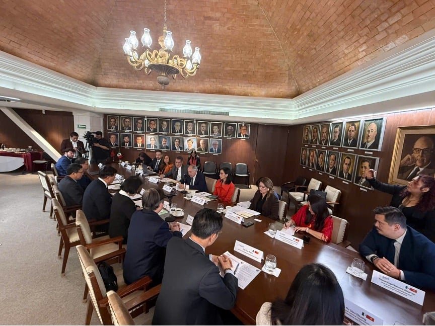 Thúc đẩy hợp tác y tế Việt Nam – Mexico trên cơ sở mối quan hệ truyền thống tốt đẹp- Ảnh 2.