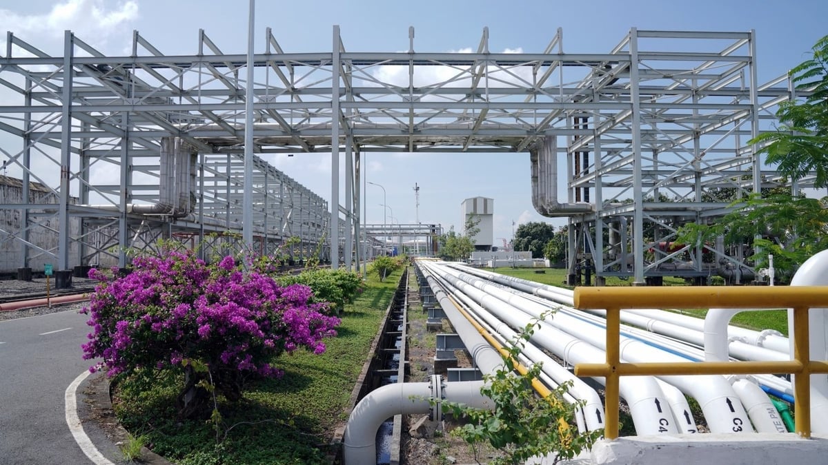 បៃតង - ស្អាត - បរិវេណឃ្លាំងកំពង់ផែដ៏ស្រស់ស្អាត។ រូបថត៖ PV GAS ។ Khuôn viên kho cảng xanh - sạch - đẹp. Ảnh: PV GAS.