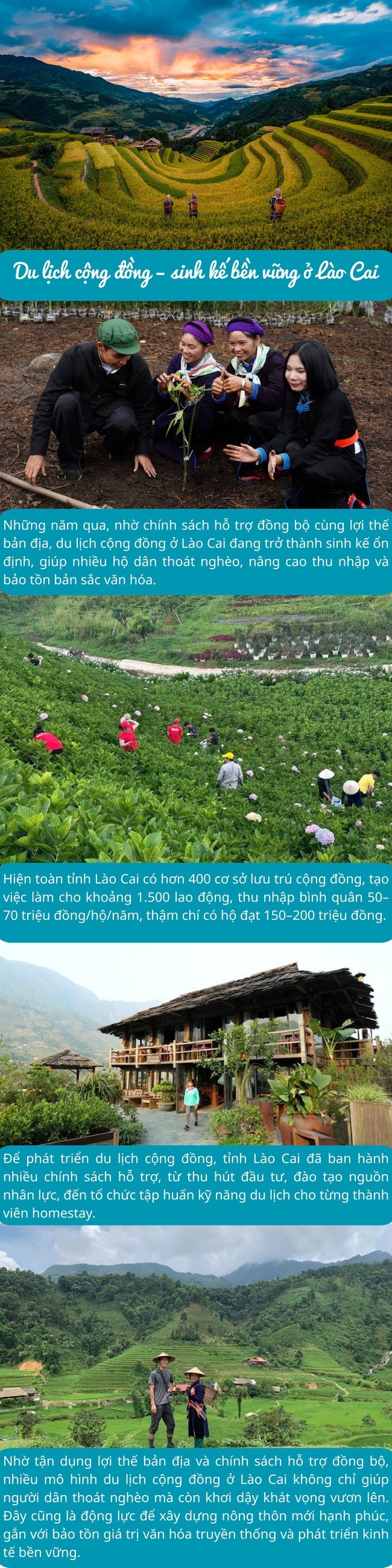 Infographic: Du lịch cộng đồng – hướng đi mới giảm nghèo bền vững ở Lào Cai - Ảnh 1.