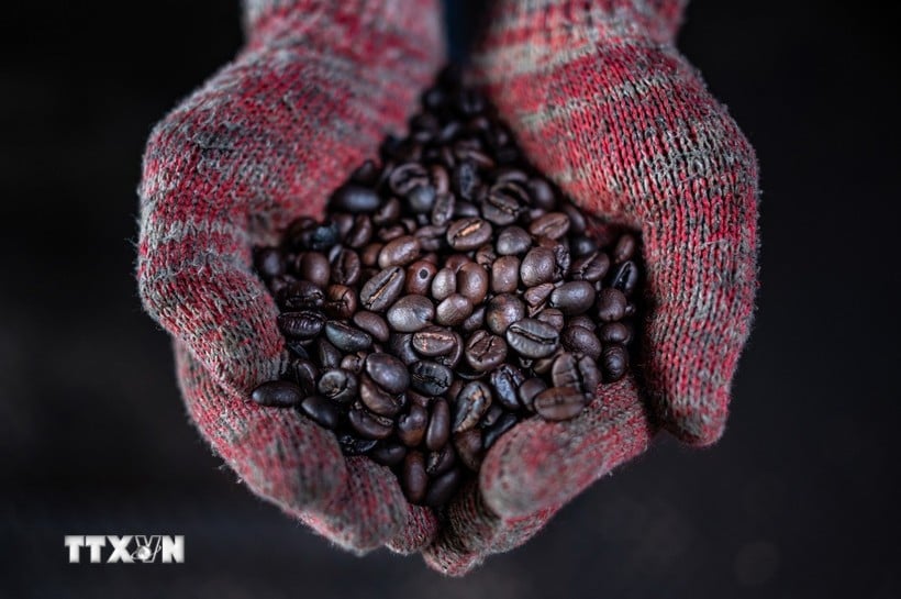 (Fotoğraf: AFP/VNA)