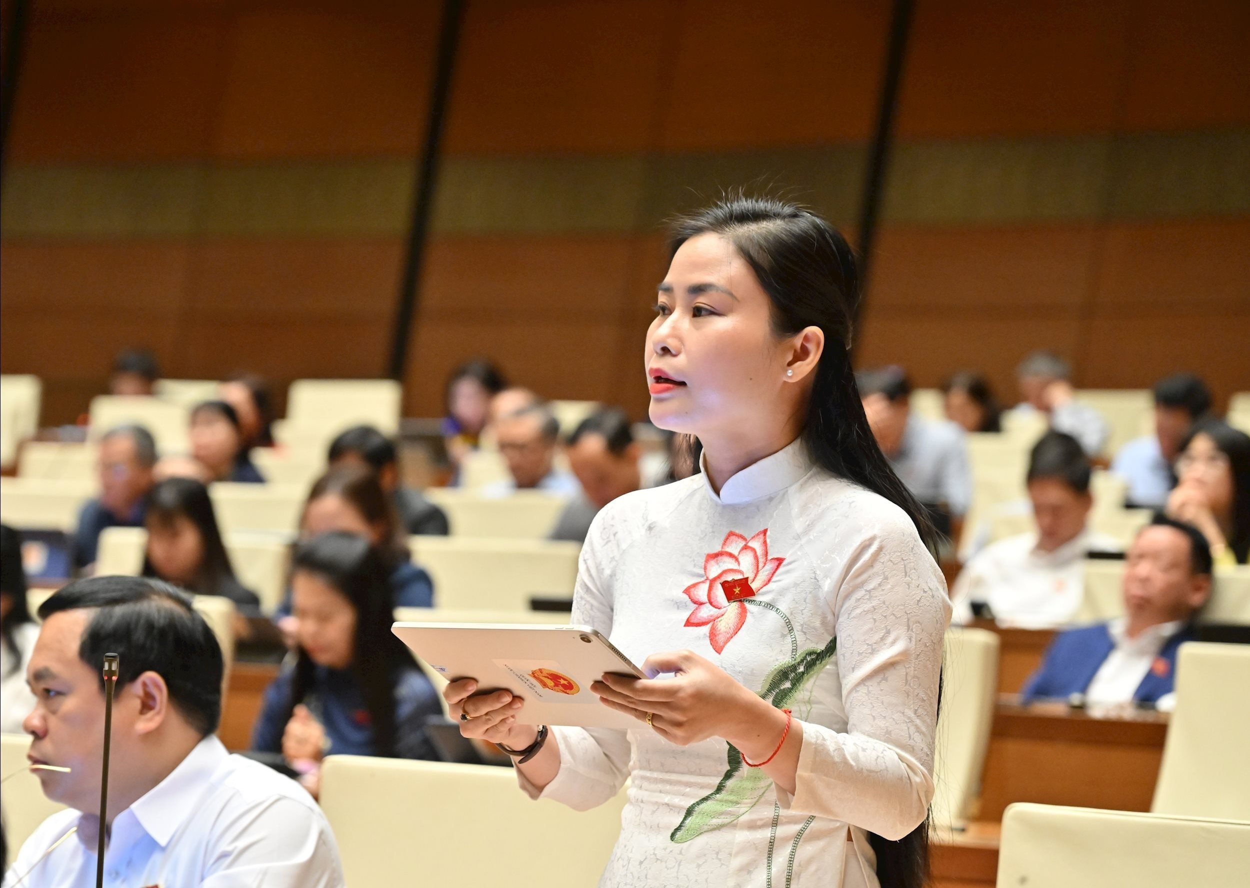 नेशनल असेंबली डेलिगेट डांग थी बाओ त्रिन्ह (डा नांग)