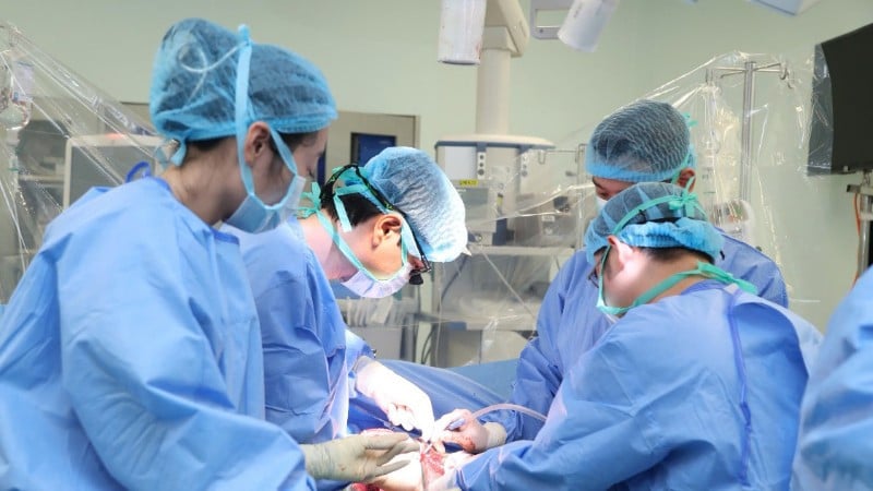 ក្រុមការងារបានធ្វើការវះកាត់ប្តូរថ្លើមលើអ្នកជំងឺ។