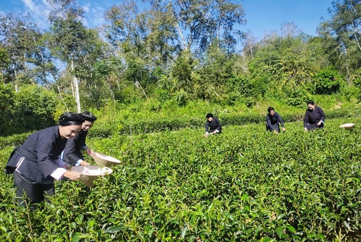 Cao Bang: Science, technology and innovation create momentum for socio-economic development - Photo 1.