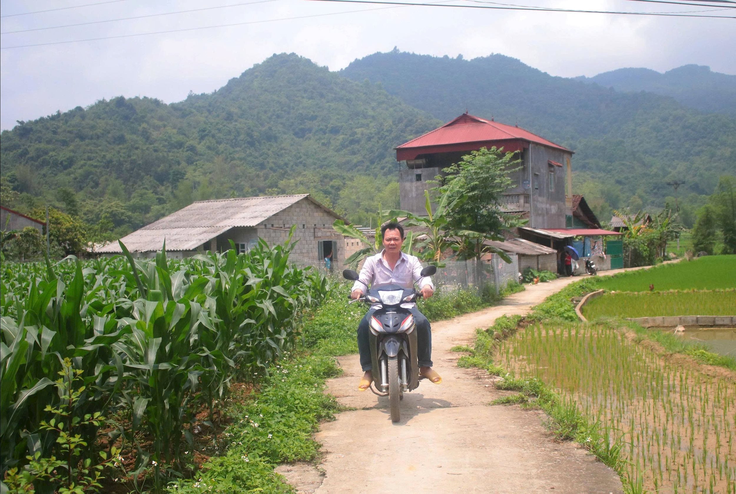 ផ្លូវធំទូលាយ