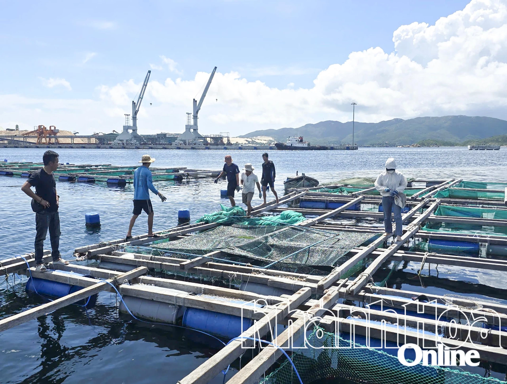 Chovatelé akvakultury v Dai Lanh se obávají bouře č. 15.
