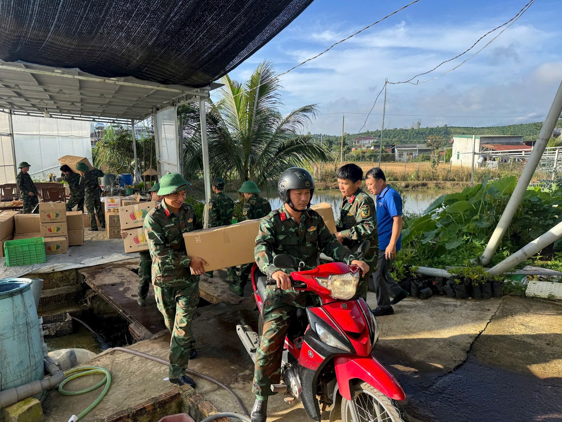 ជំនួយកសិកម្ម