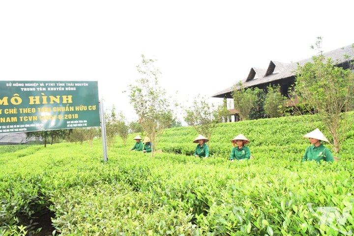 Khoa học và công nghệ dẫn dắt hành trình phát triển mới của Thái Nguyên - Ảnh 1.