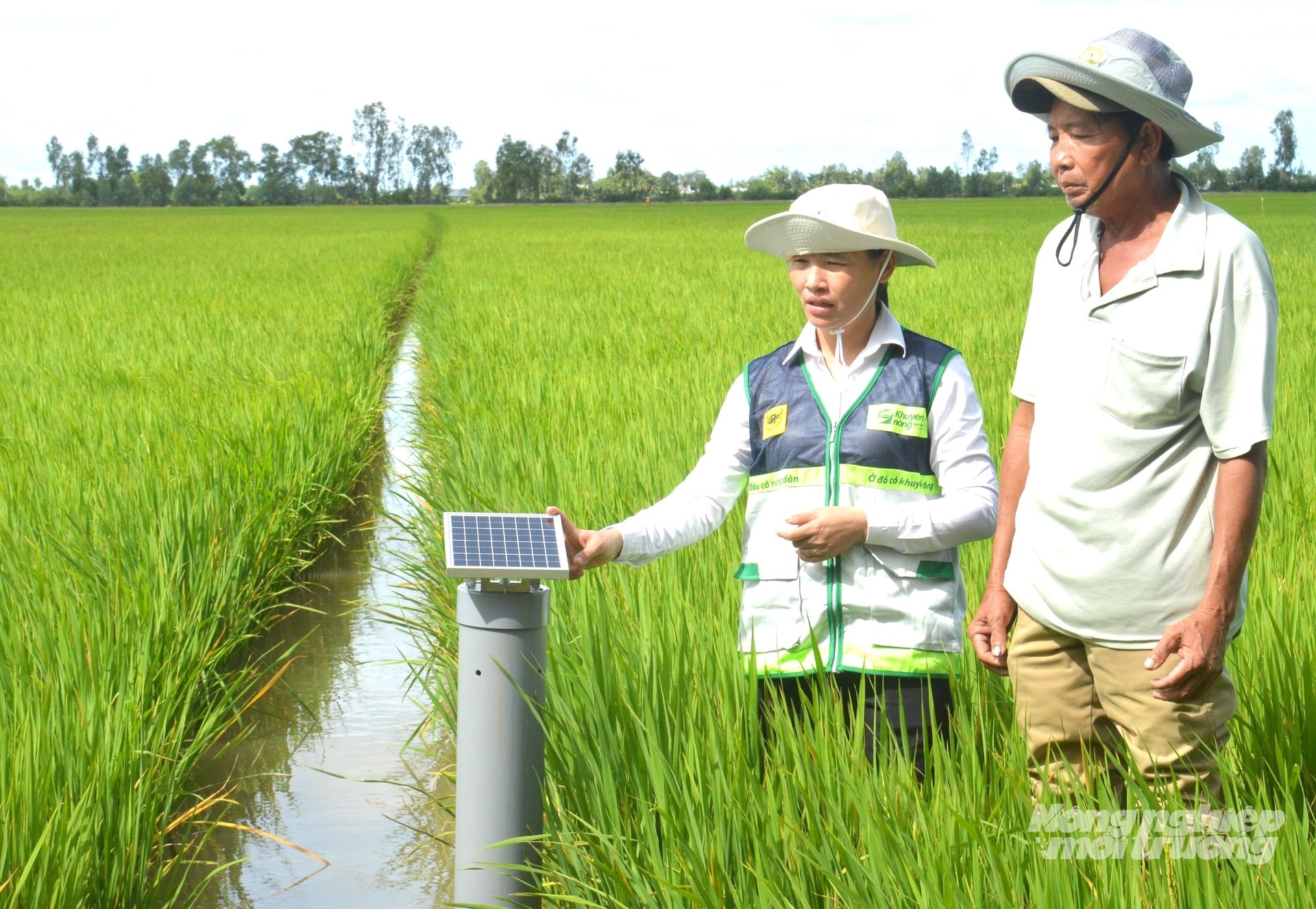 Hệ thống cảm biến AWD được Trung tâm Khuyến nông An Giang chuyển giao tại cánh đồng tham gia Đề án 1 triệu ha lúa chất lượng cao của Hợp tác xã Dịch vụ nông nghiệp Thanh niên Phú Hòa. Ảnh: Trung Chánh.