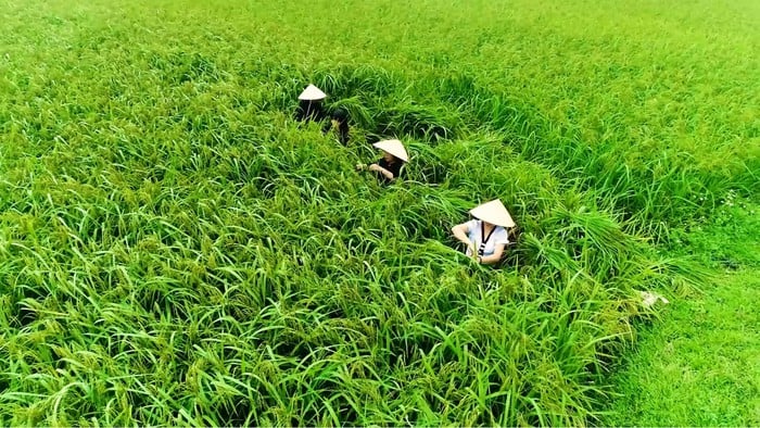 Hợp Thành: Miền ký ức nảy mầm từ bản sắc Tày- Ảnh 6.