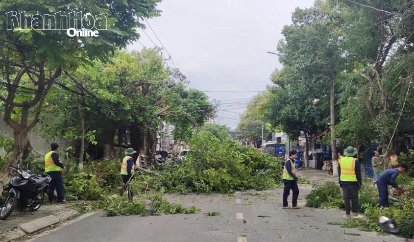 ការកាត់ដើមឈើនៅវួដ Cam Linh ។