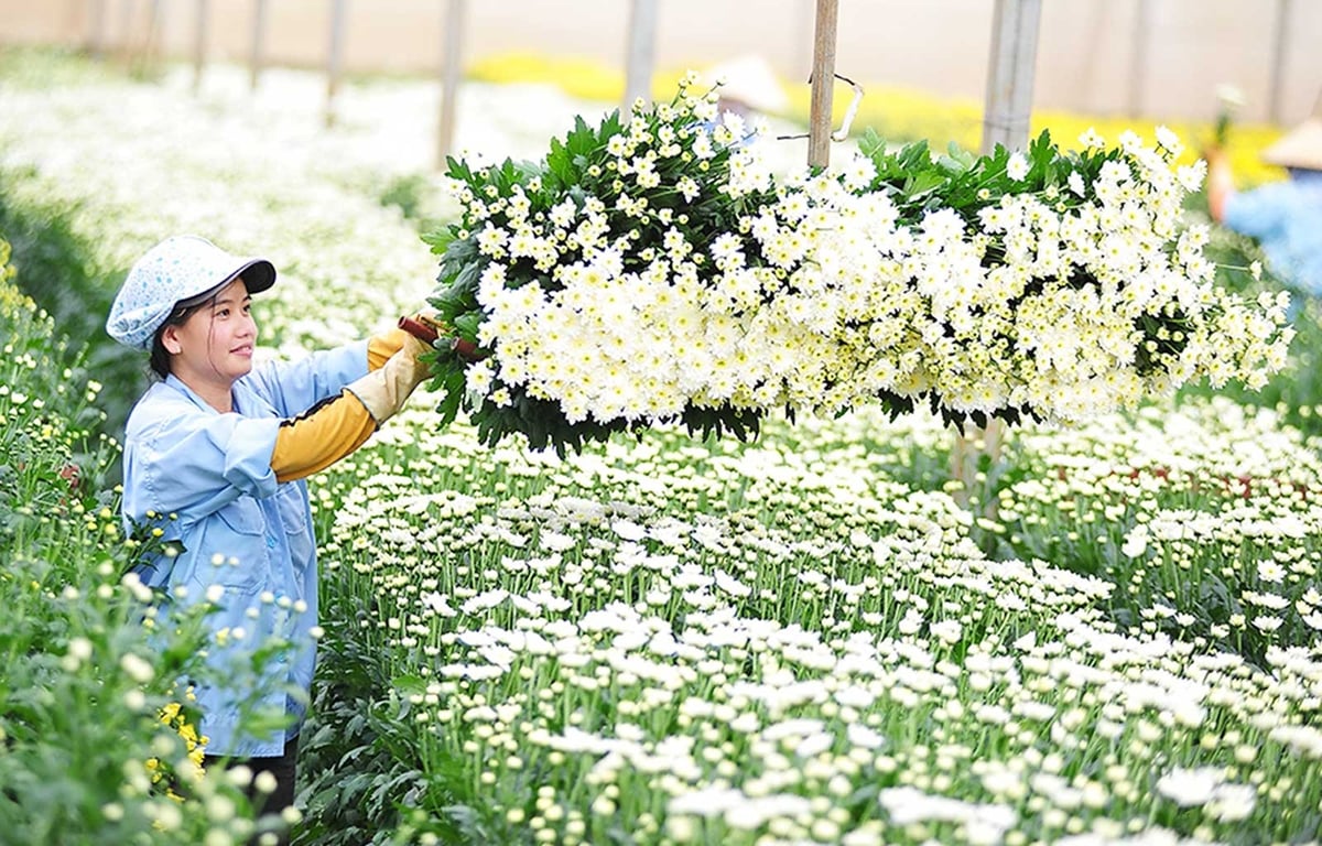 Tuyên bố Hà Nội sẽ trở thành nền tảng hình thành Cộng đồng Hoa châu Á. Ảnh: Chu Khôi.