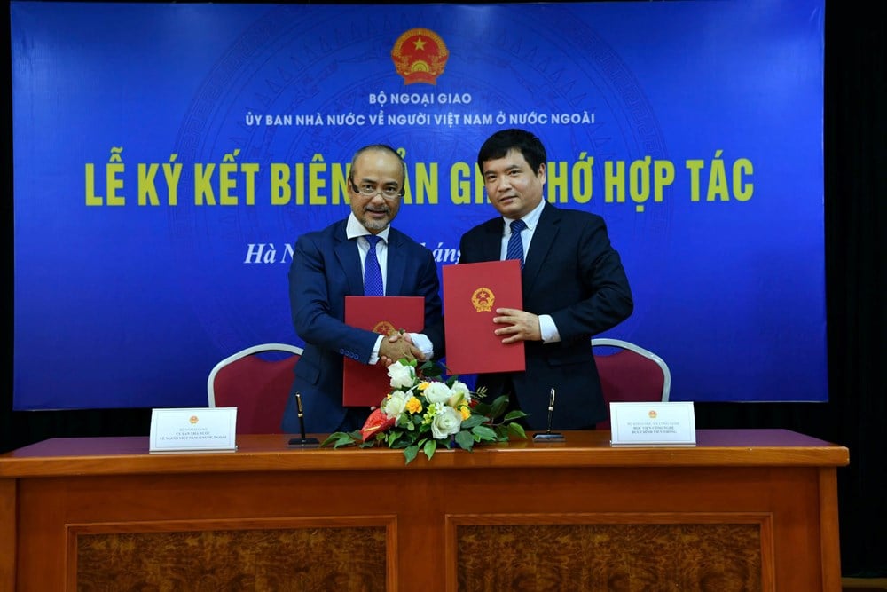 Digital transformation av vietnameser som arbetar utomlands - foto 2