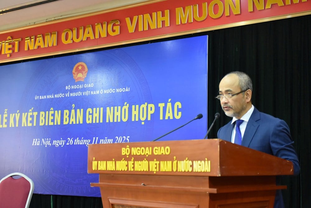 Digital transformation av vietnameser som arbetar utomlands - foto 1