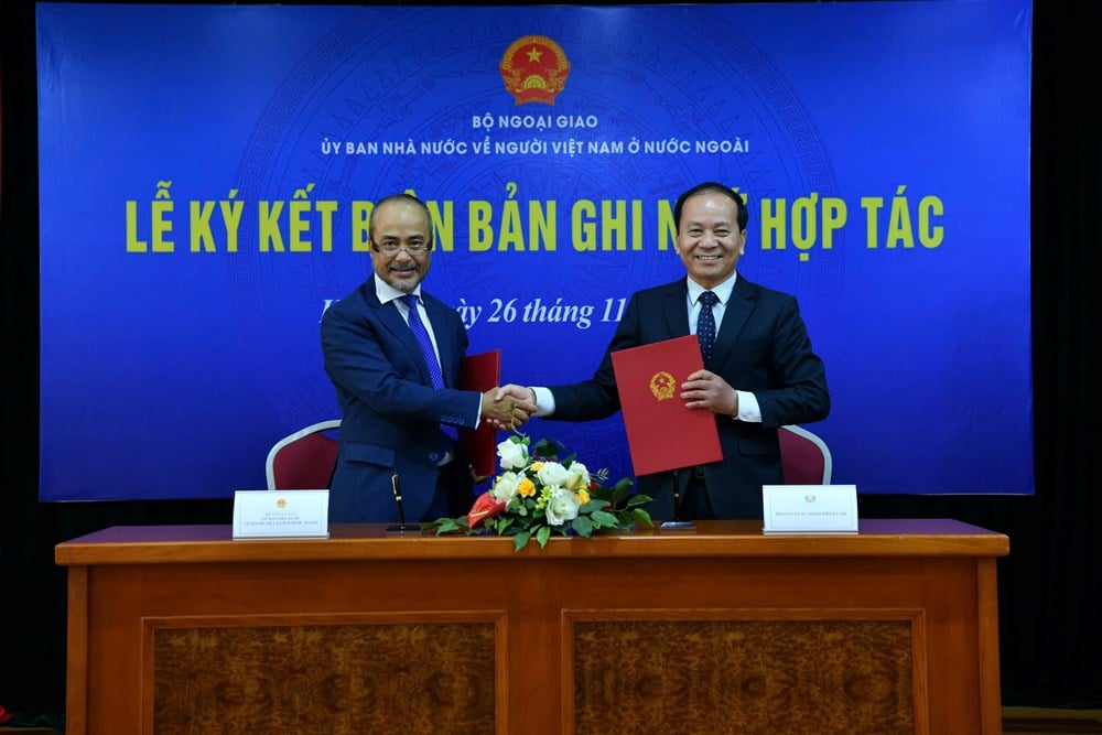 Digital transformation av vietnameser som arbetar utomlands - foto 3