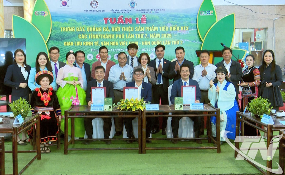 Empresas e cooperativas participantes da Conferência.