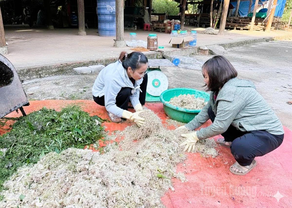 バンラン村の養豚グループのメンバーは、バイオセーフティ農業技術の訓練を受けている。