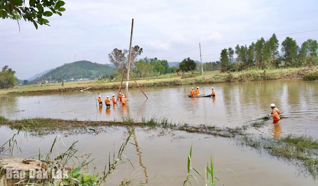 A Dak Lak Power Company munkatársai a Song Cau kerületben keletkezett károkat javítják.
