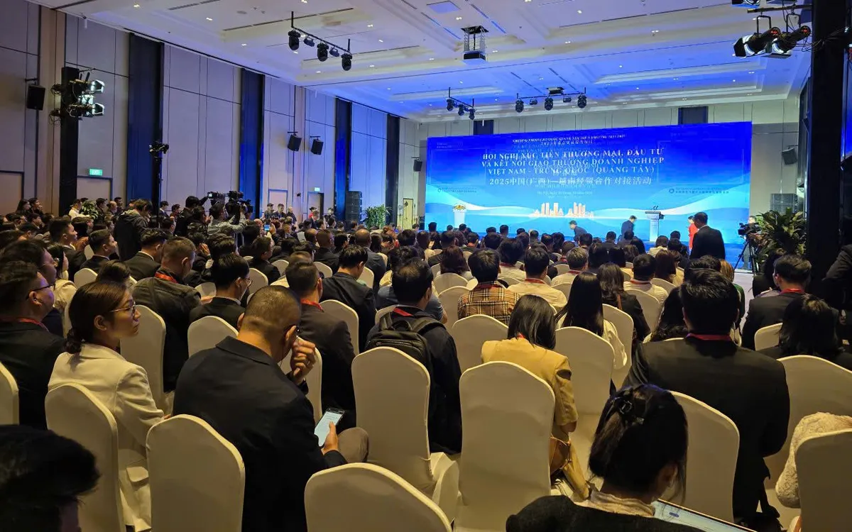 Ảnh: Nguyễn Cung