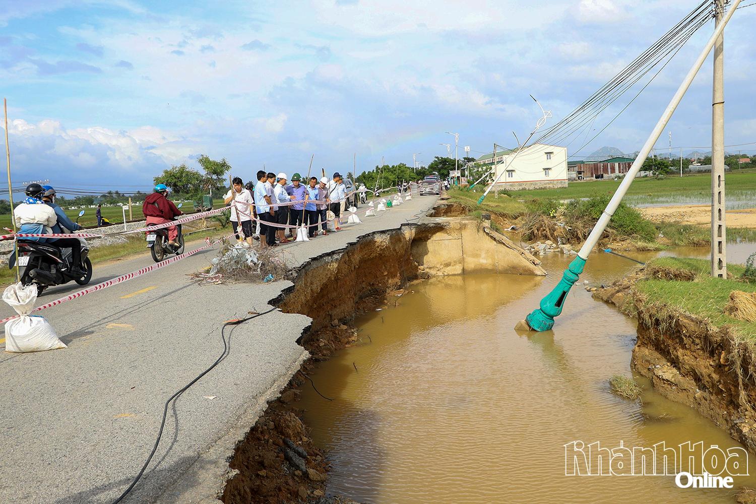 Ninh Phuoc ilçesinden geçen 703 numaralı İl Yolu ciddi hasar gördü.