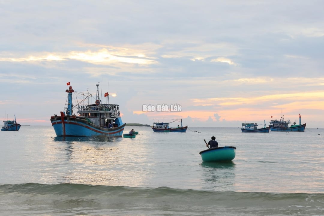 Navele care operează pe mare pentru a exploata și captura produse acvatice și fructe de mare trebuie să respecte cu strictețe interdicția maritimă.